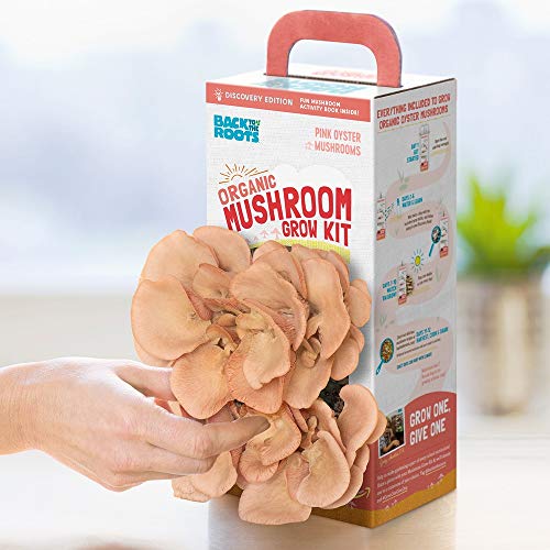 Back to the Roots Organic Pink Grow Kit, Harvest Gourmet Oyster Mushrooms - NbuFlowers