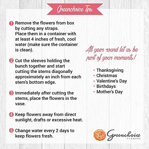 Greenchoice Flowers | 24 Orange Roses Fresh Cut Flowers | Fresh Bulk Flowers | Birthday Flowers | (2 Dozen) - 20 inch Long Stem Flower Cut Direct from Farm… - NbuFlowers
