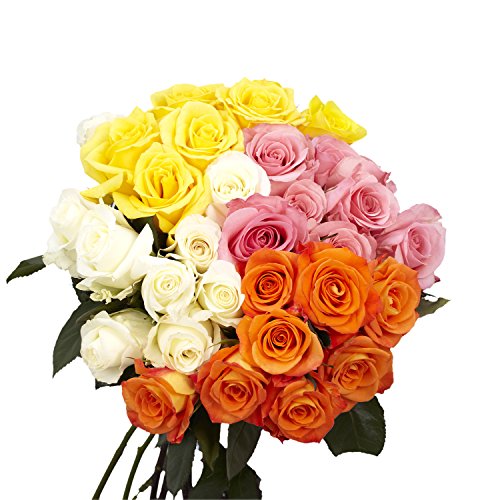 50 Assorted Roses - 2 Beautiful Colors - Fresh Cut Flowers- Beautiful Gift Delivery Saturday July 3 - NbuFlowers