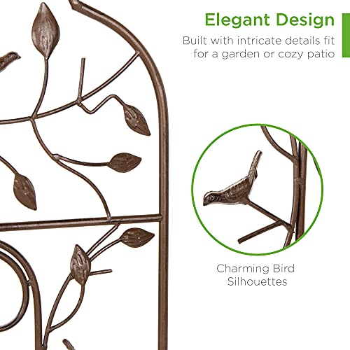 Best Choice Products 60x15-inch Iron Arched Garden Trellis w/Branches, Birds for Lawn, Garden, Backyard, Climbing Plants - NbuFlowers