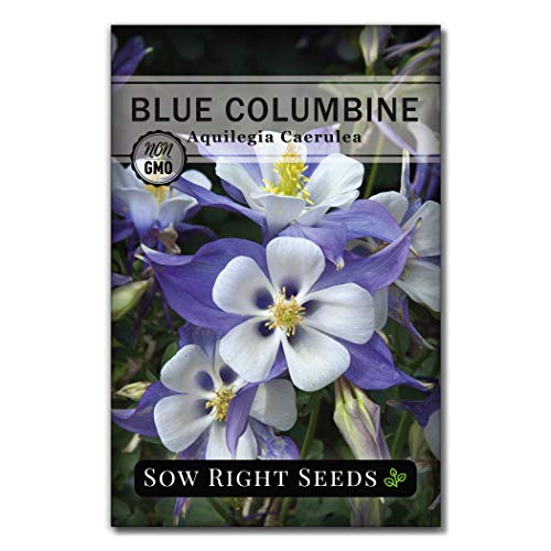 Sow Right Seeds - Flower Garden Seed Collection - Coneflower, Snapdragon, Zinnia, Cosmos, Cape Daisy, Aster, Lupine, Black-eyed Susan, Shasta Daisy, and Blanket Flower; Heirloom Seeds for Planting - NbuFlowers