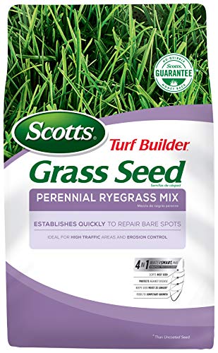 Scotts Turf Builder Grass Seed Perennial Ryegrass Mix, 7.lb. - Full Sun and Light Shade - Quickly Repairs Bare Spots, Ideal for High Traffic Areas and Erosion Control - Seeds up to 2,900 sq. ft. - NbuFlowers