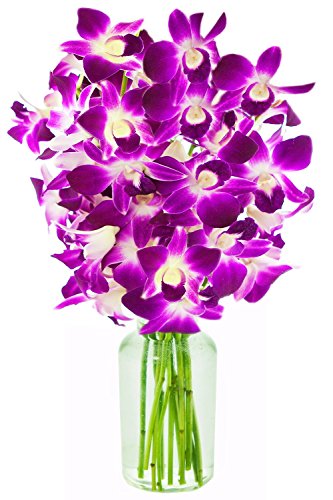 Fresh Cut Flowers -Dendrobium Purple Orchids with Vase - NbuFlowers