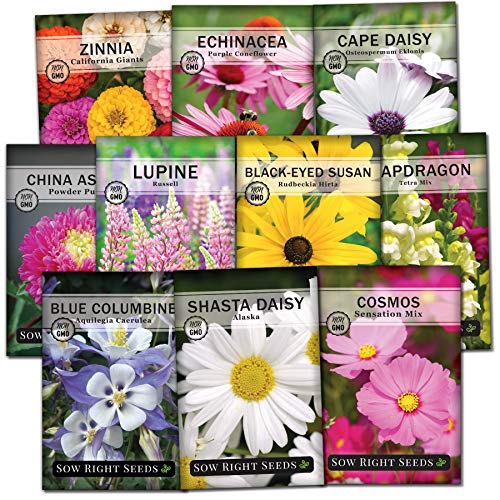 Sow Right Seeds - Flower Garden Seed Collection - Coneflower, Snapdragon, Zinnia, Cosmos, Cape Daisy, Aster, Lupine, Black-eyed Susan, Shasta Daisy, and Blanket Flower; Heirloom Seeds for Planting - NbuFlowers