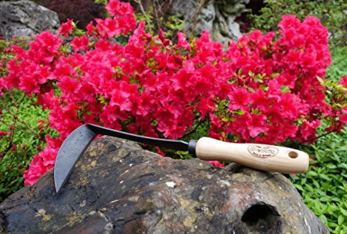DeWit Right Hand Japanese Hand Hoe, Handheld Gardening Tool to Remove Grass, Weeds, and More - NbuFlowers