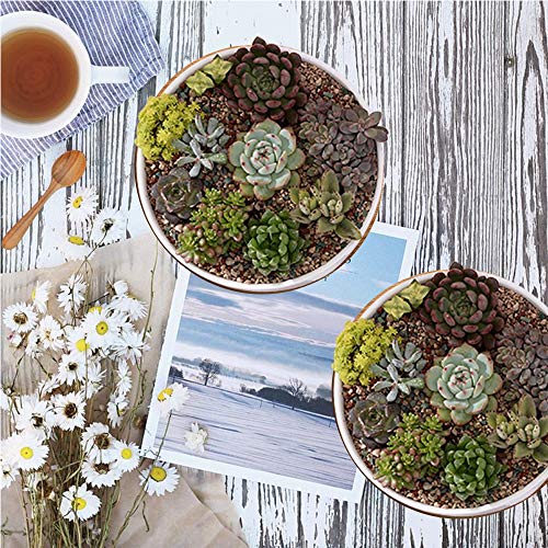 zoutog succulent pots Succulent Pots, ZOUTOG 6 inch White Ceramic Flower Planter Pot with Bamboo Tray, Pack of 2
