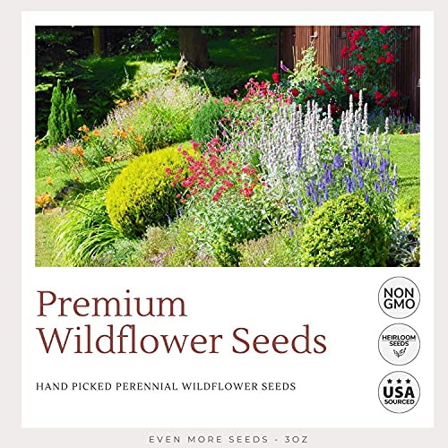 Wildflower Seeds - Flower Seed Pack [17 Variety] - Perennial Flower Seeds for Attracting Birds & Butterflies - Flower Seeds for Planting Outdoor - Non GMO, Open Pollinated - Flower Garden Seeds - NbuFlowers