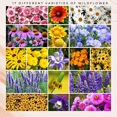 Wildflower Seeds - Flower Seed Pack [17 Variety] - Perennial Flower Seeds for Attracting Birds & Butterflies - Flower Seeds for Planting Outdoor - Non GMO, Open Pollinated - Flower Garden Seeds - NbuFlowers