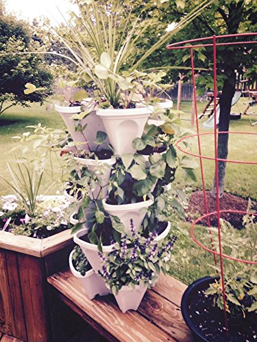 Mr. Stacky 5 Tiered Vertical Gardening Planter, Indoor & Outdoor - NbuFlowers