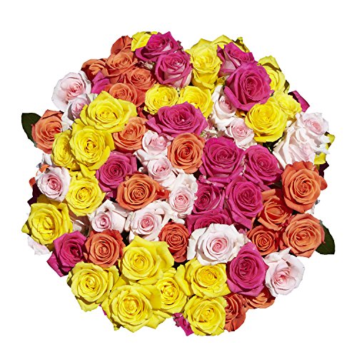 50 Assorted Roses - 2 Beautiful Colors - Fresh Cut Flowers- Beautiful Gift Delivery Saturday July 3 - NbuFlowers