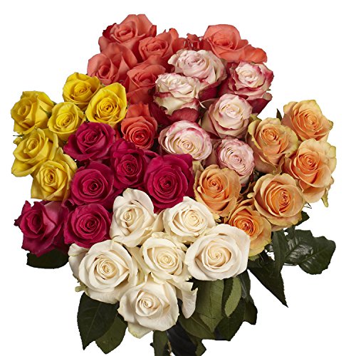 50 Assorted Roses- Fresh Flowers - Two Different Colors - NbuFlowers