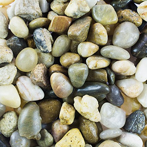 Mini Assorted Garden Beach Stone Rocks Pebbles Aquarium Lake Collection for Outdoor & Indoor Home Garden Decoration, Arts & Crafts Projects, Party Favors, Invitation (1 Pound Bag) - NbuFlowers